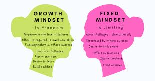 Fixed Mindset vs Growth Mindset: How To Shift To A Path Of Learning And  Growth | TechTello